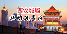 白虎高湖喷中国陕西-西安城墙旅游风景区